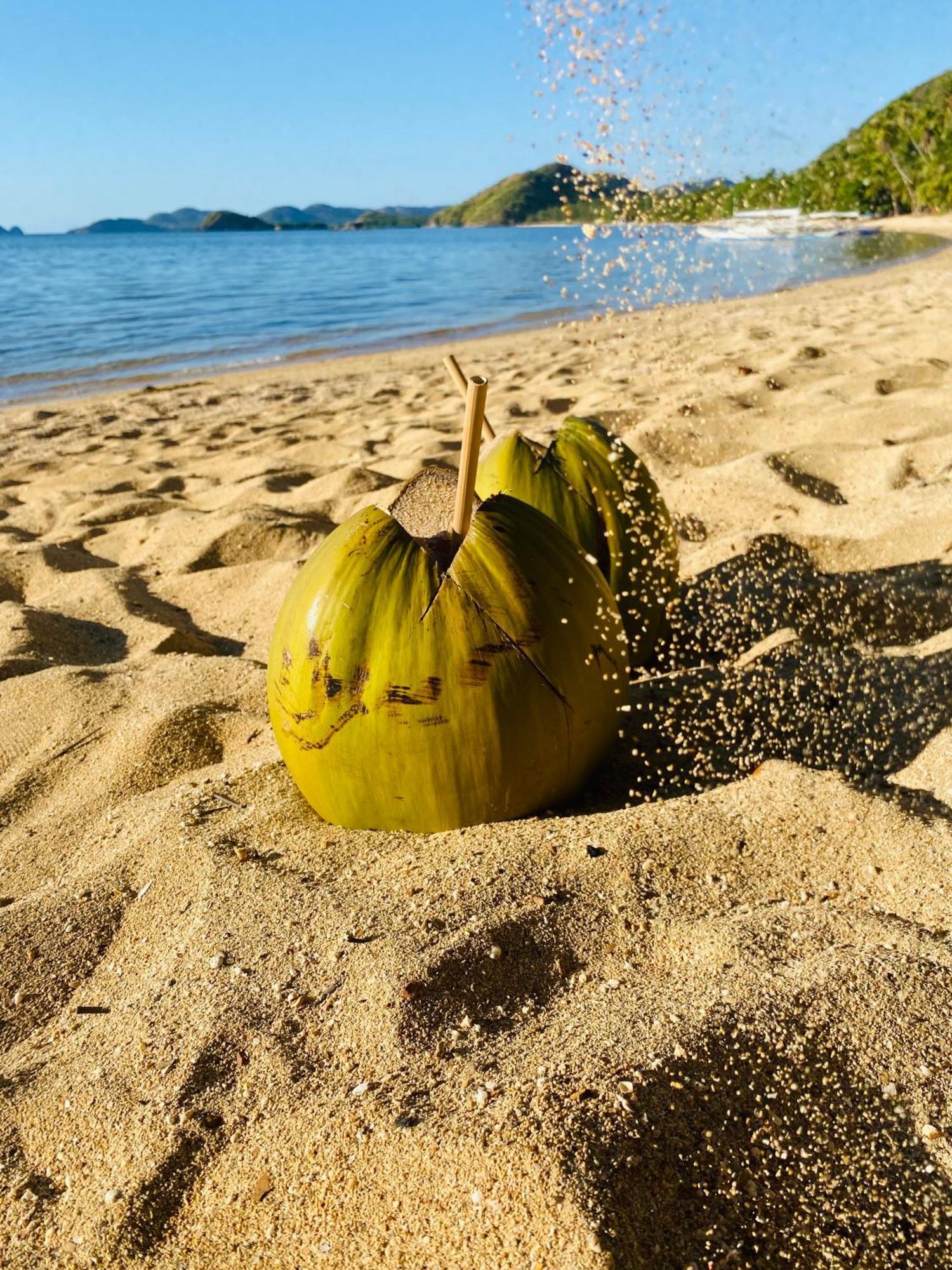 Ocamocam Beach Nature Resort New Busuanga Luaran gambar