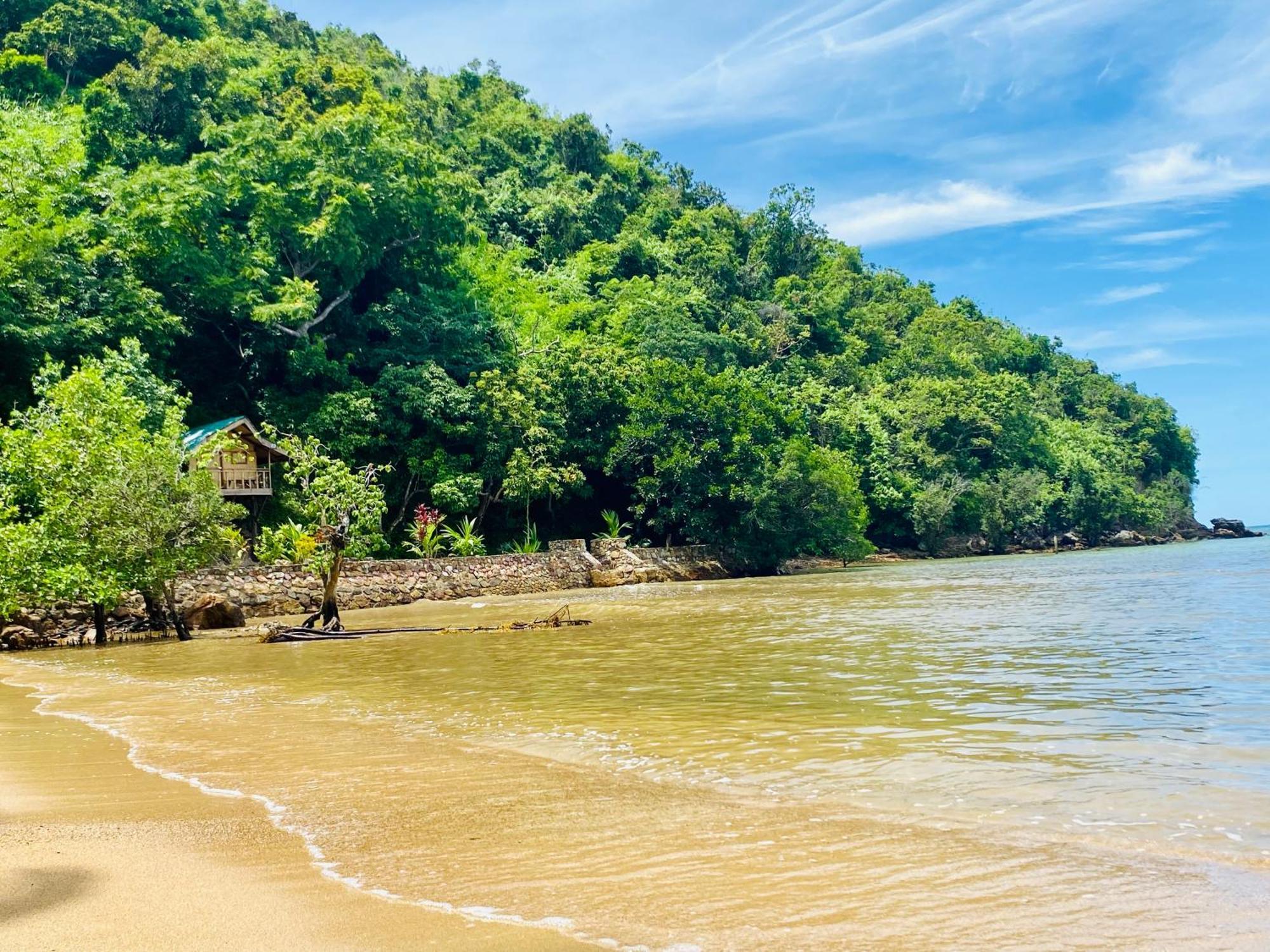 Ocamocam Beach Nature Resort New Busuanga Luaran gambar