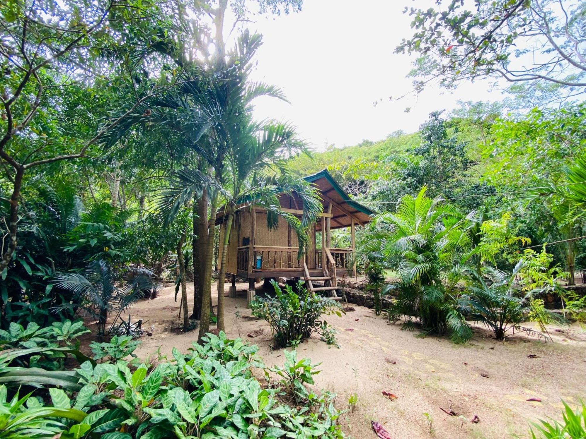 Ocamocam Beach Nature Resort New Busuanga Luaran gambar